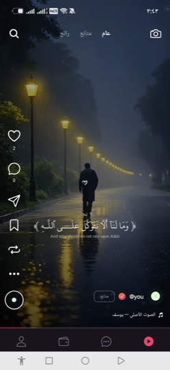 واجهة ريلز Showgram